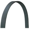 Dayco V-Ribbed Belt Belts/Hose, 5040323Dr 5040323DR